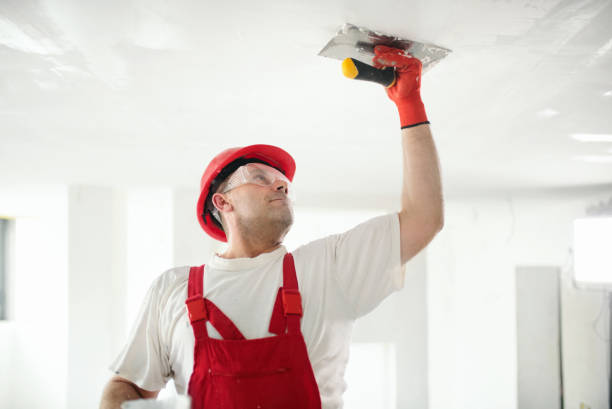 Best Fire-Damaged Drywall Repair  in Burnt Store Marina, FL